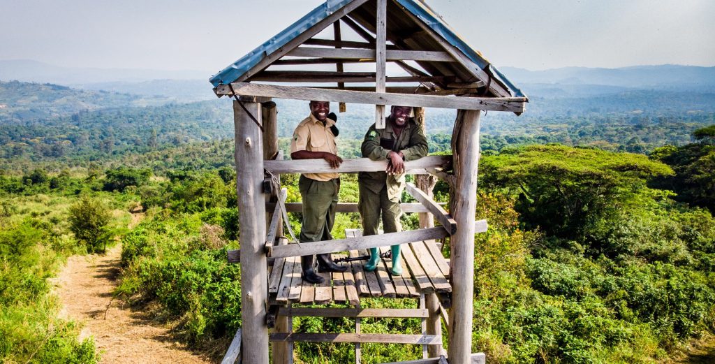 Uitkijktoren Oeganda Kibale Forest